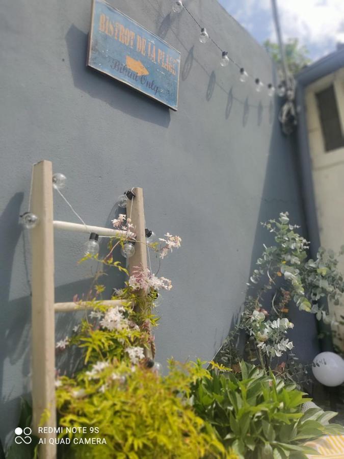 Le Cocon Des Hortillonnages D'Amiens Camon  Zewnętrze zdjęcie