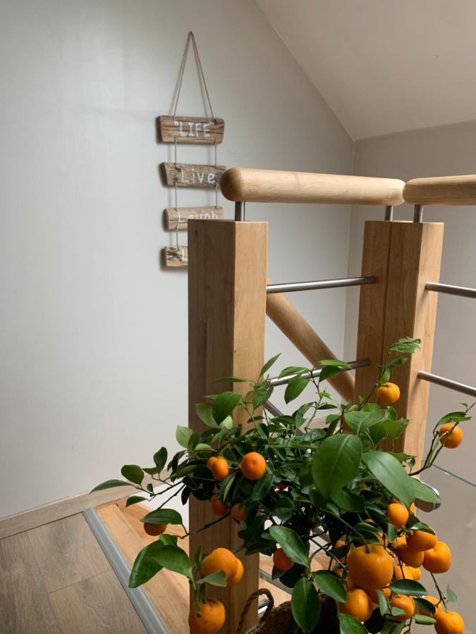 Le Cocon Des Hortillonnages D'Amiens Camon  Zewnętrze zdjęcie