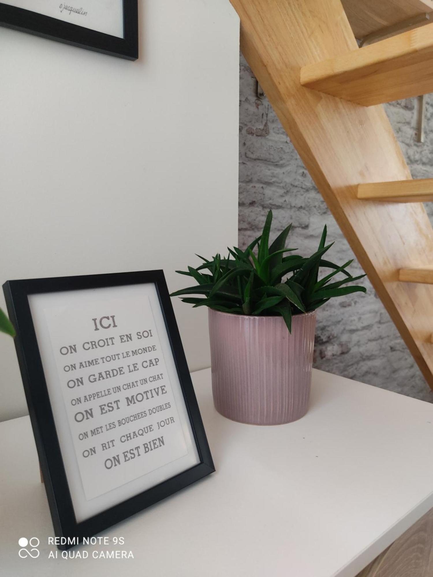 Le Cocon Des Hortillonnages D'Amiens Camon  Zewnętrze zdjęcie