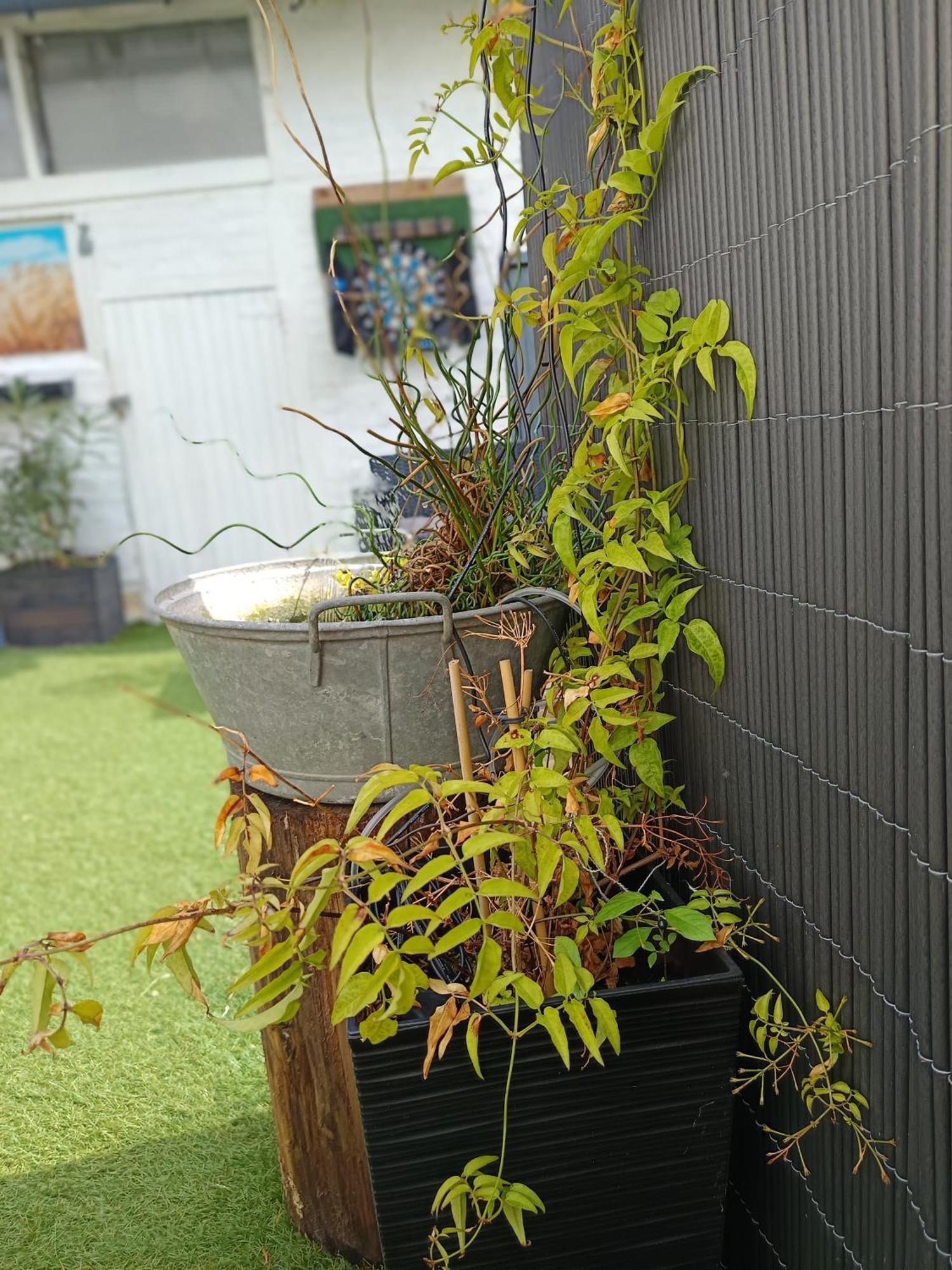 Le Cocon Des Hortillonnages D'Amiens Camon  Zewnętrze zdjęcie