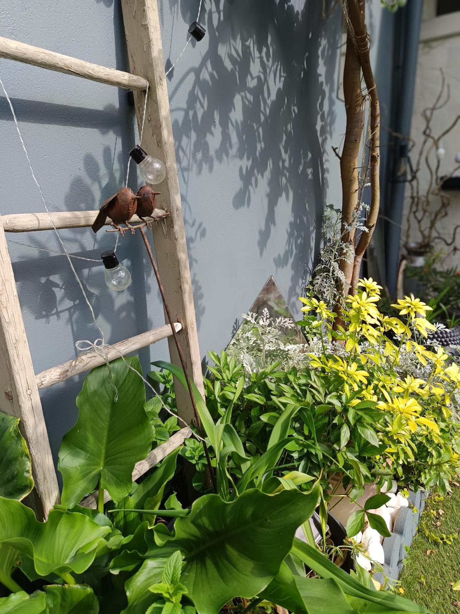 Le Cocon Des Hortillonnages D'Amiens Camon  Zewnętrze zdjęcie
